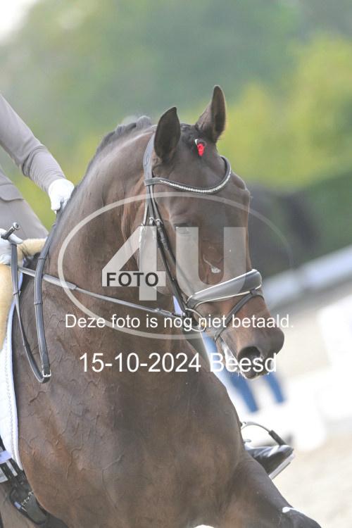 241015 1115