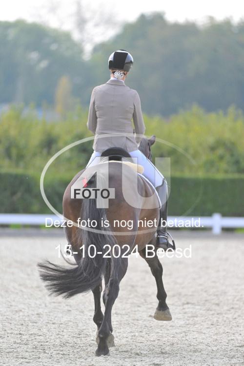 241015 1121