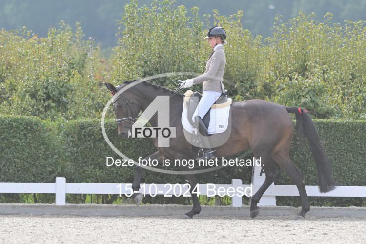 241015 1125