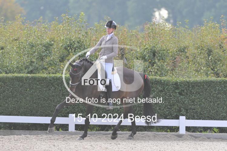241015 1126