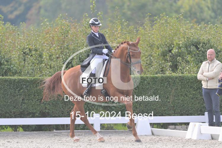 241015 1151