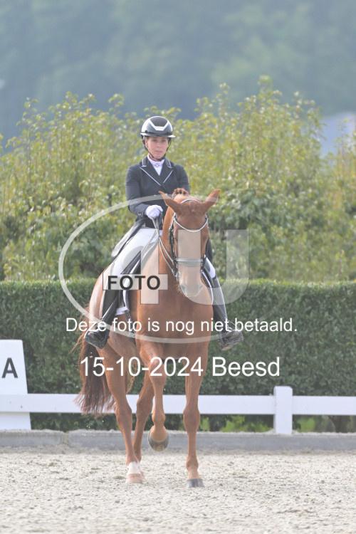 241015 1154