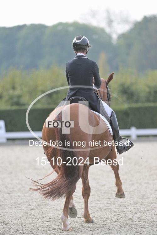 241015 1166