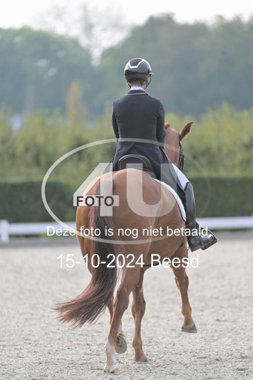 241015 1167