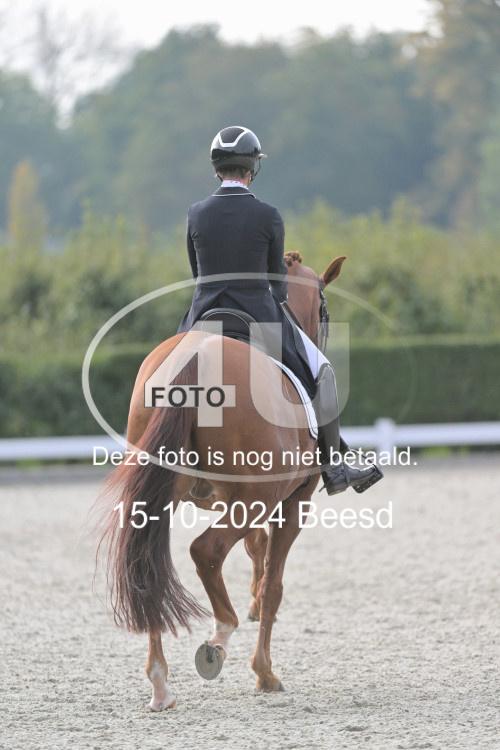 241015 1168
