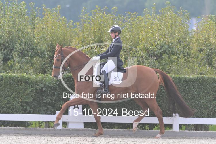 241015 1173