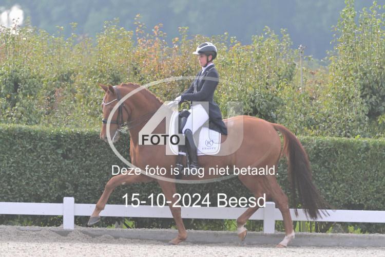 241015 1175