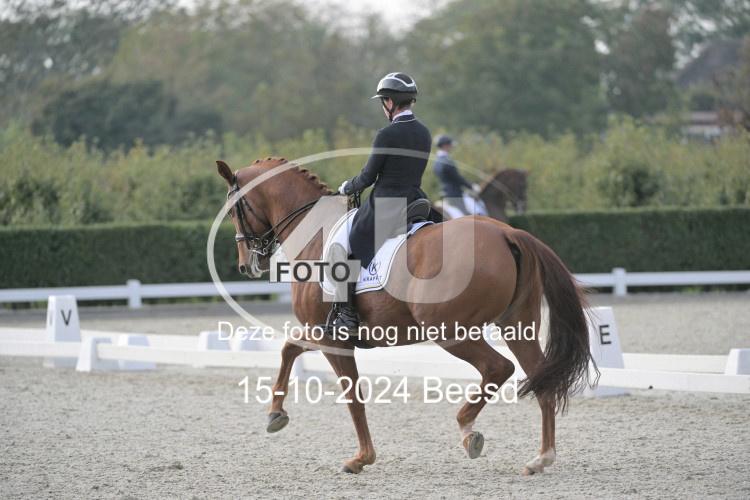 241015 1191