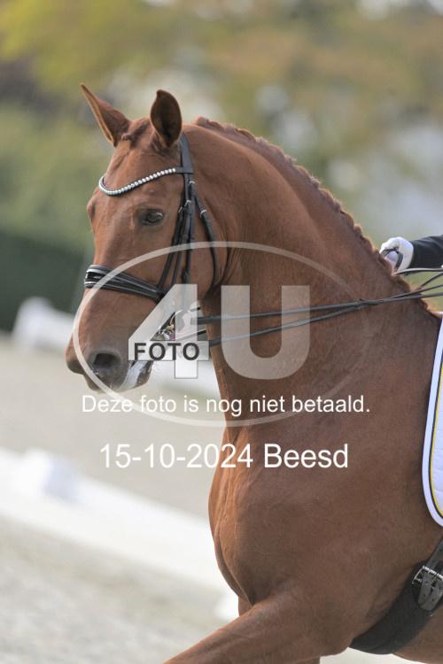 241015 1207