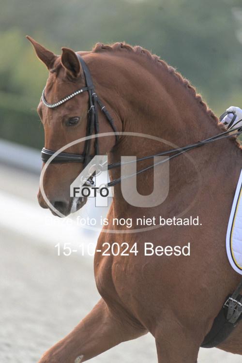 241015 1210