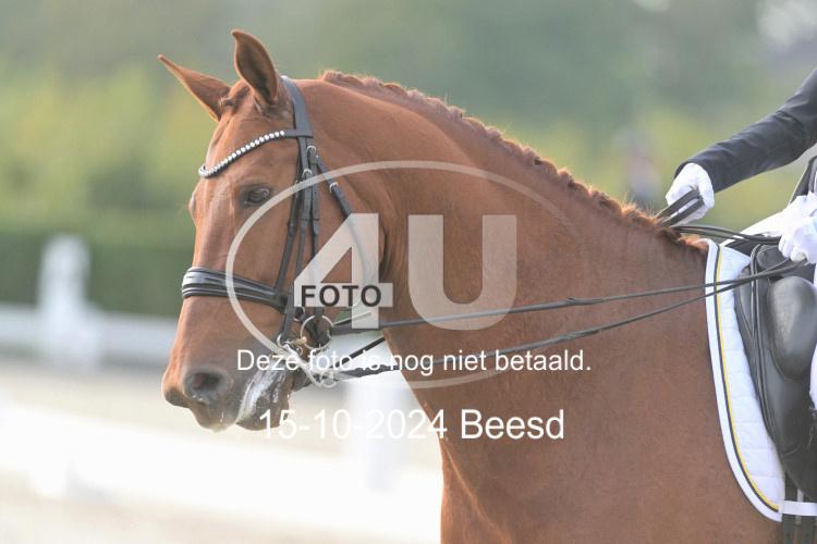 241015 1214