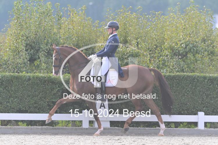 241015 1234