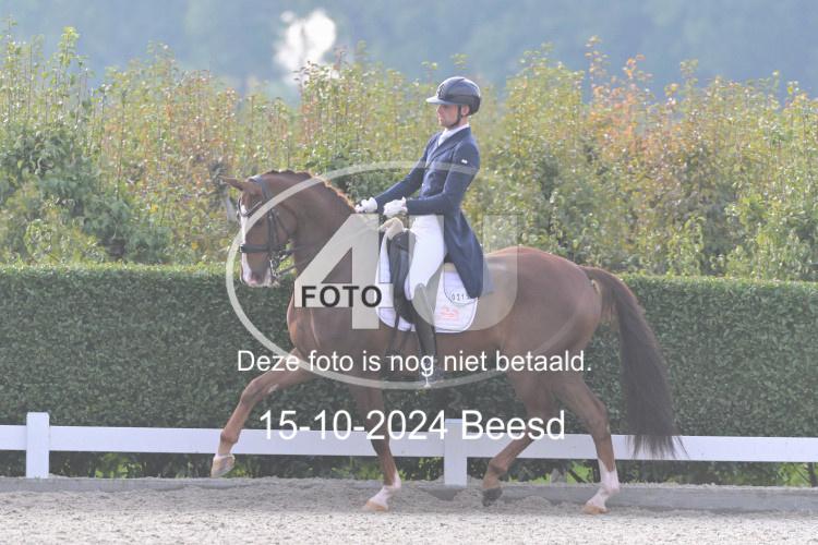 241015 1237