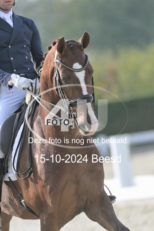 241015 1260