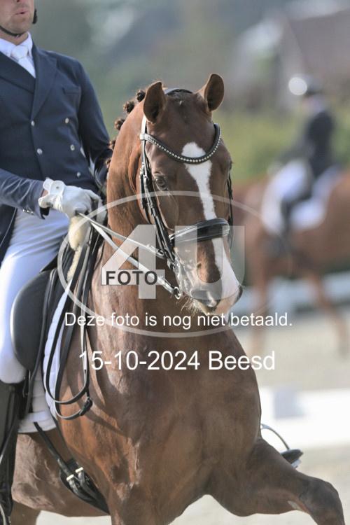 241015 1261