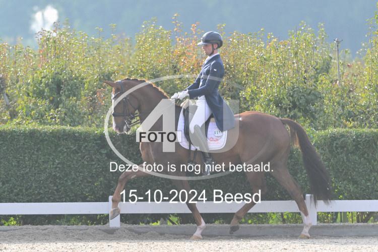 241015 1267