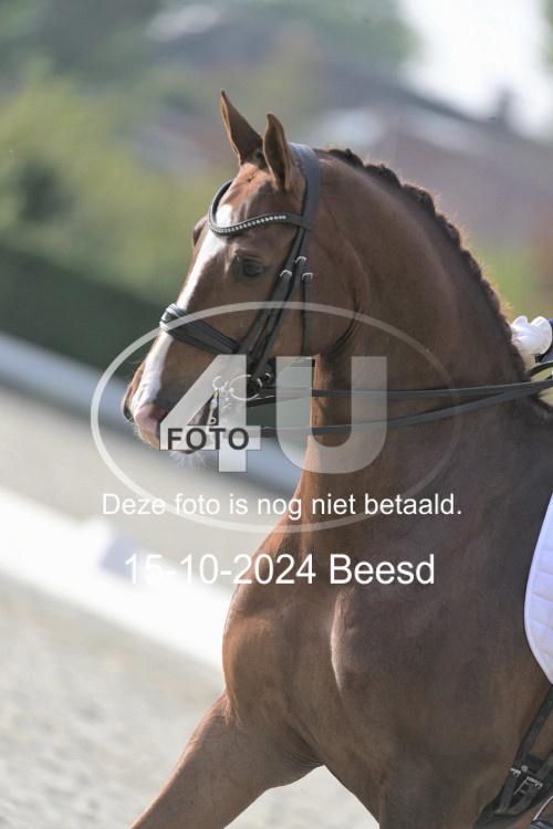 241015 1295