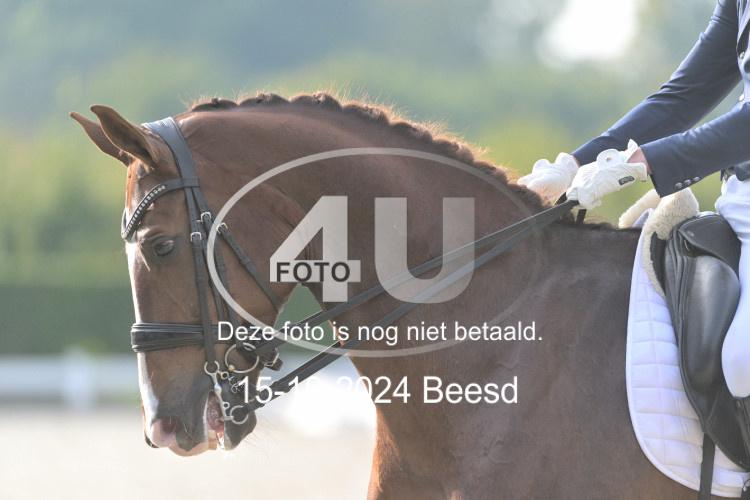 241015 1305