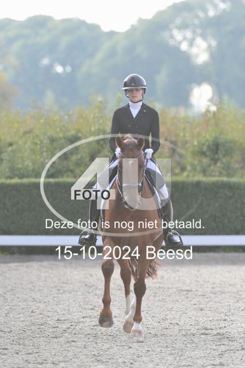 241015 1331