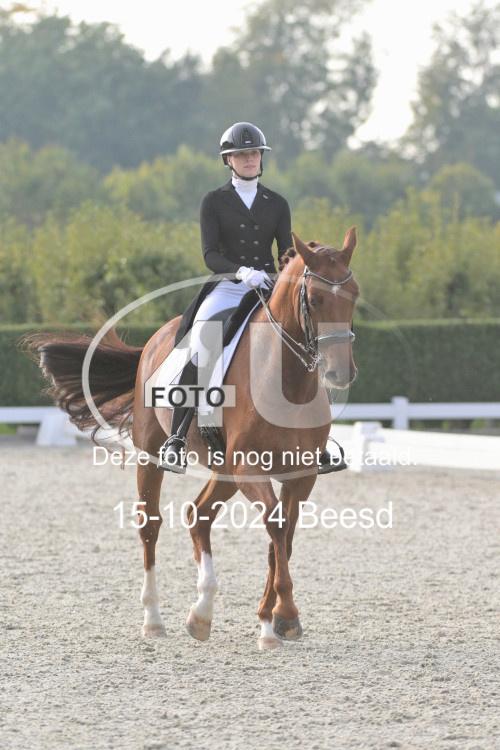 241015 1339