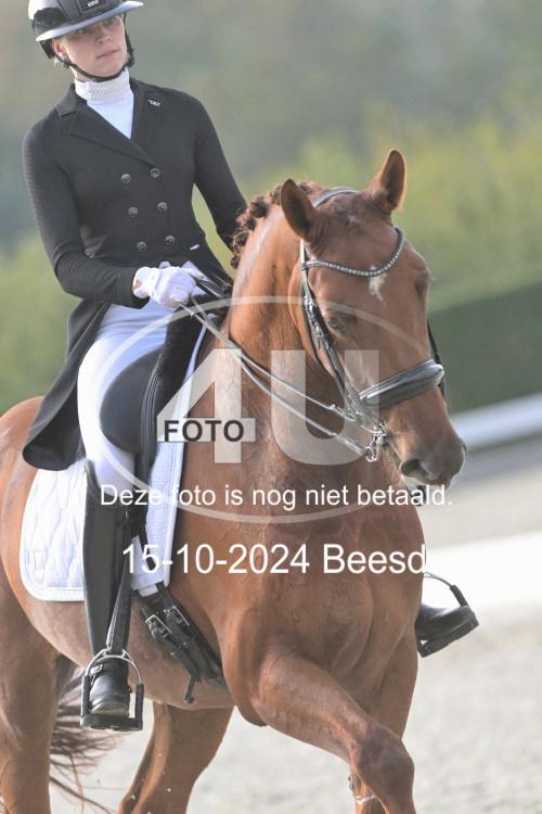 241015 1342