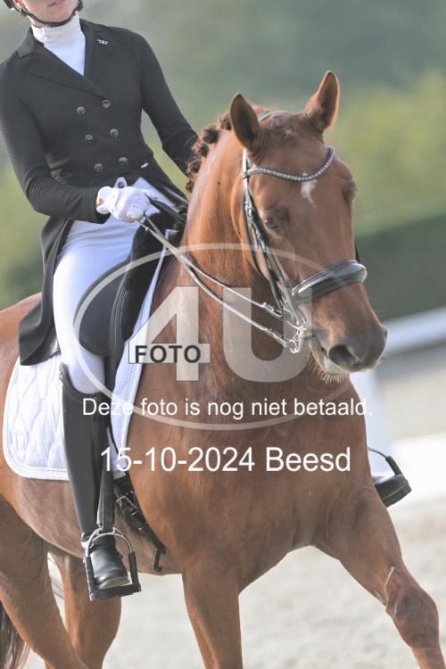241015 1343