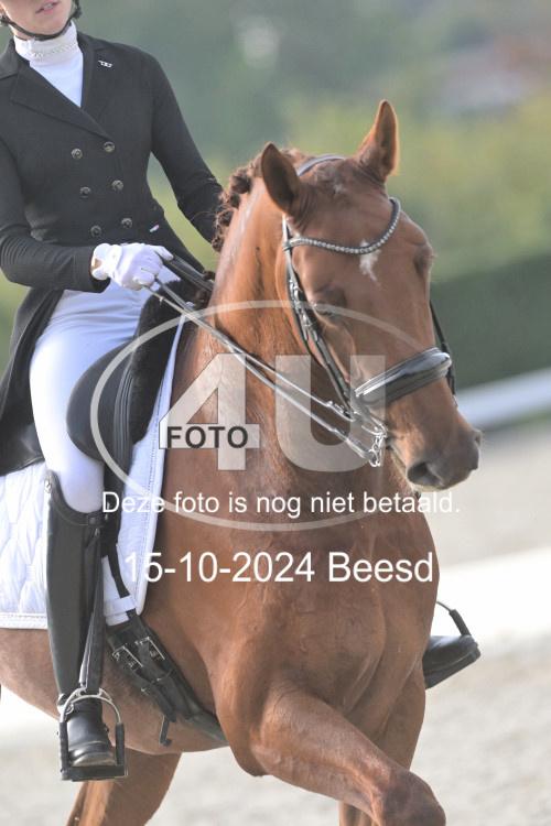 241015 1344