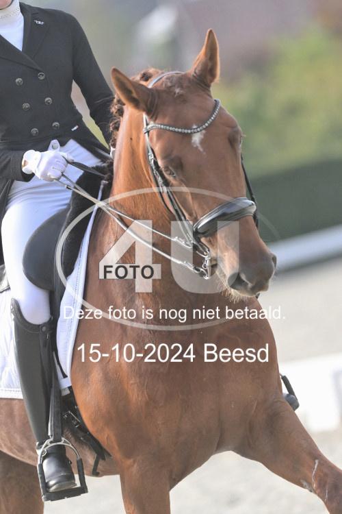 241015 1345