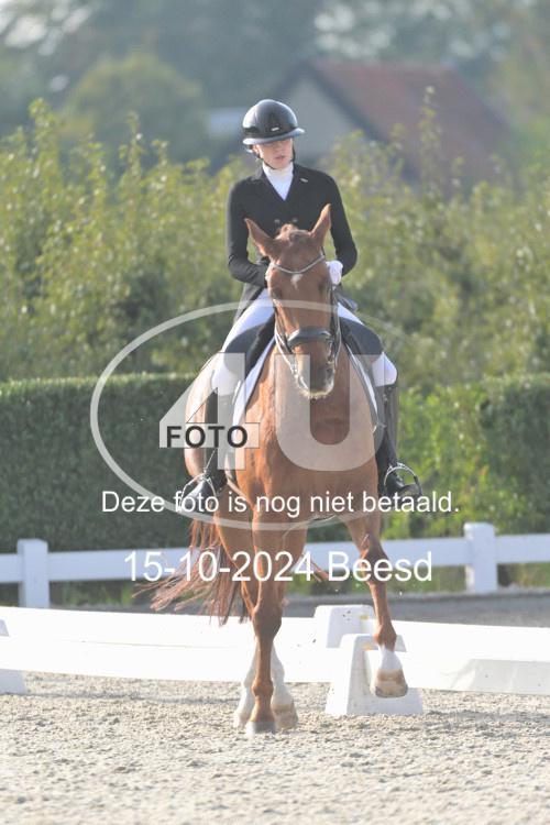 241015 1374