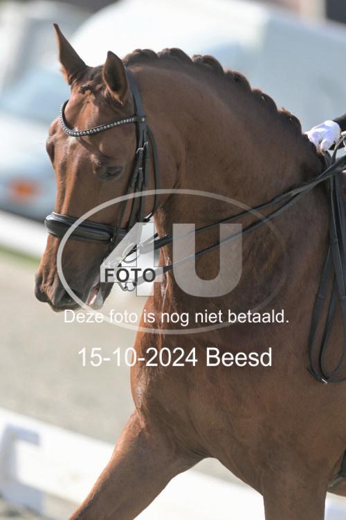 241015 1381