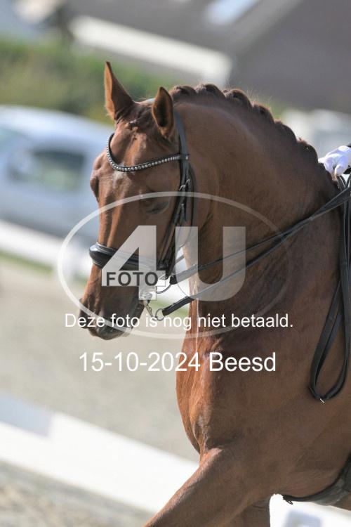 241015 1382
