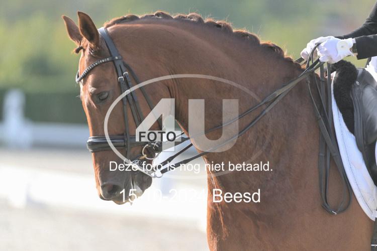 241015 1389