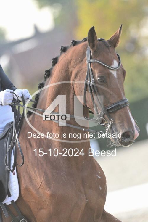 241015 1435