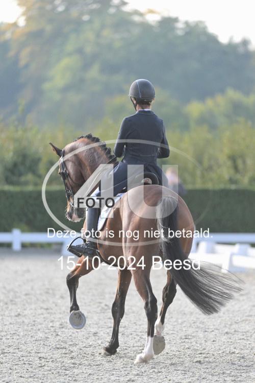 241015 1464