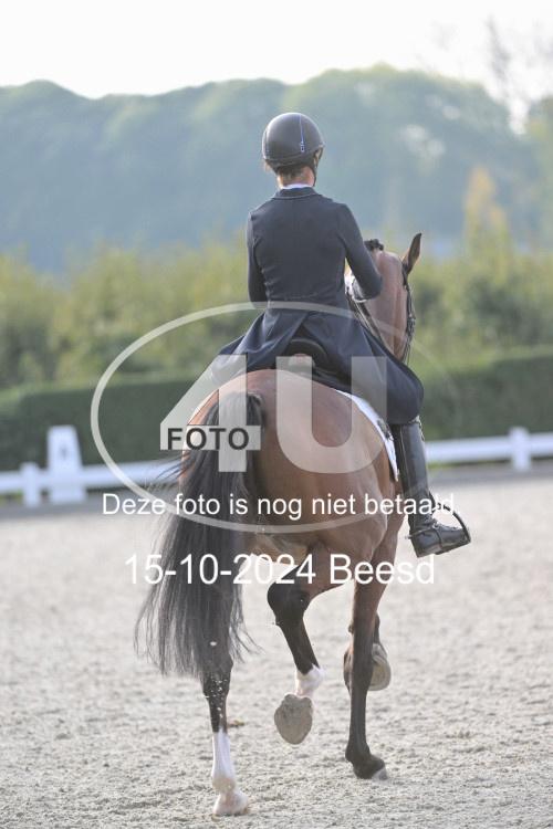241015 1493