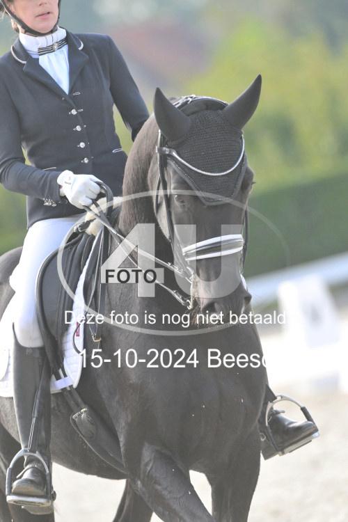 241015 1517