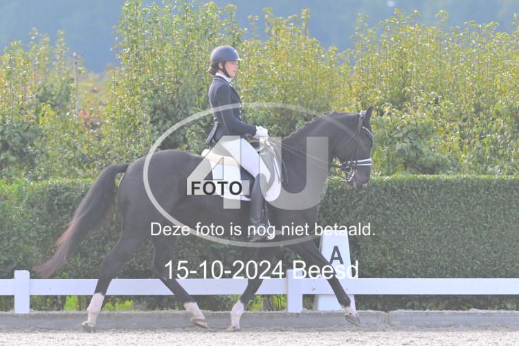 241015 1520