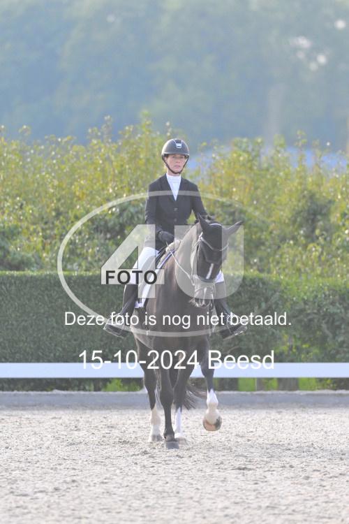 241015 1577