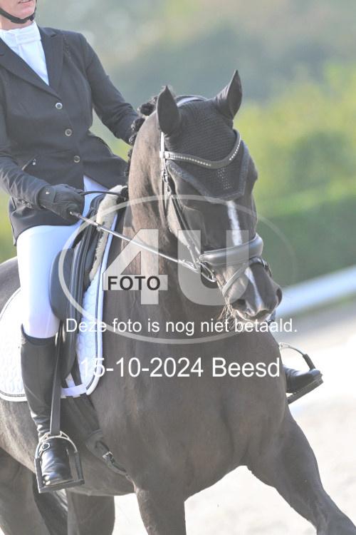 241015 1584