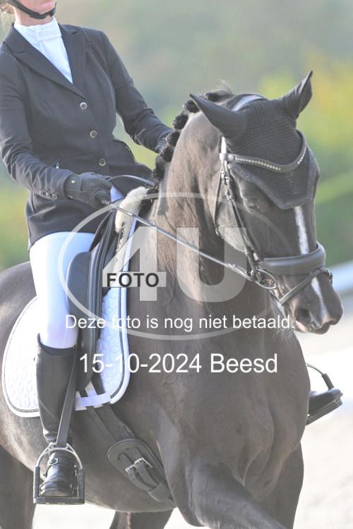 241015 1585