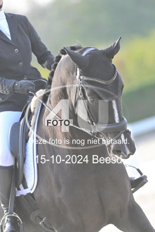 241015 1586