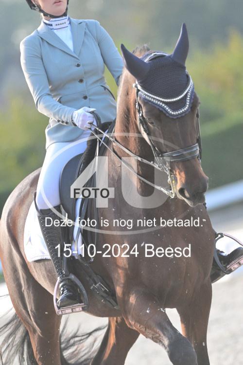 241015 1629