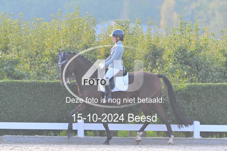 241015 1648