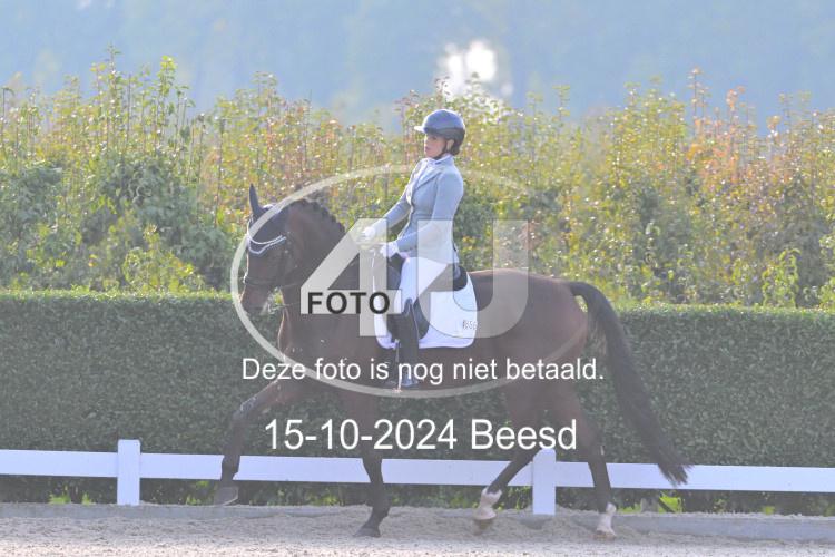 241015 1651