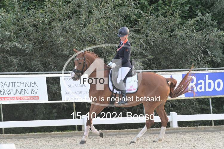 241015 1966