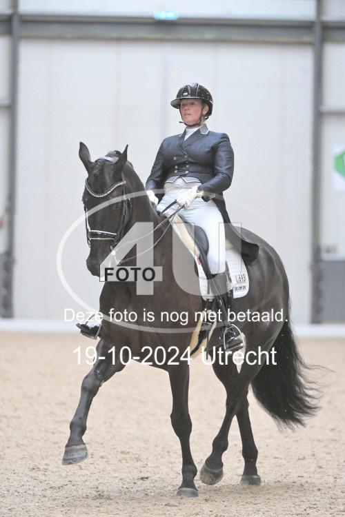 241019 1277