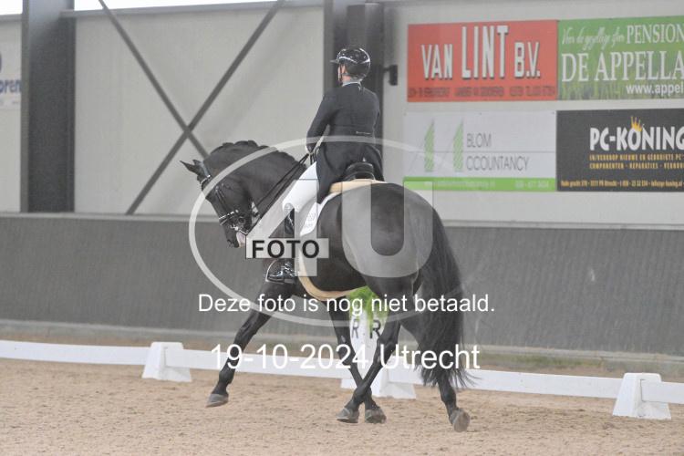 241019 1281