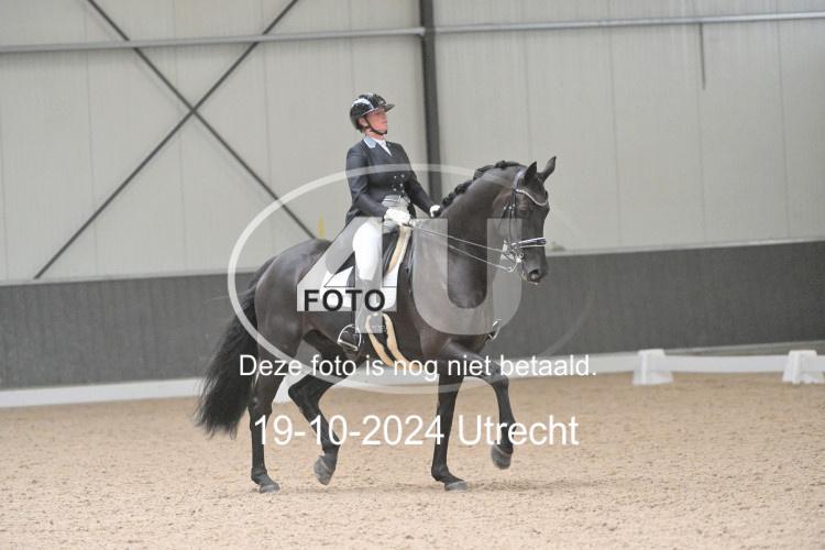 241019 1287