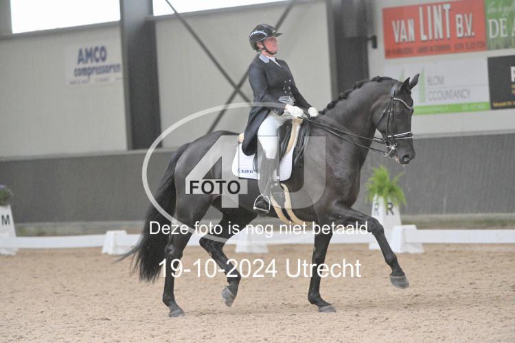 241019 1289