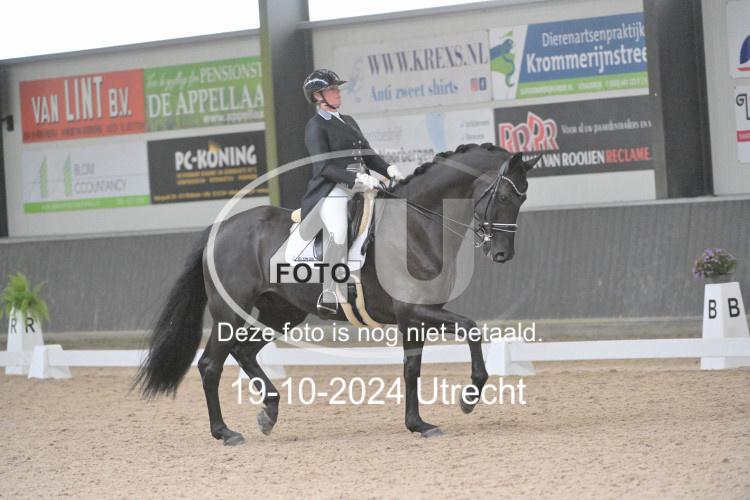 241019 1290